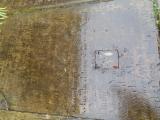 image of grave number 956828